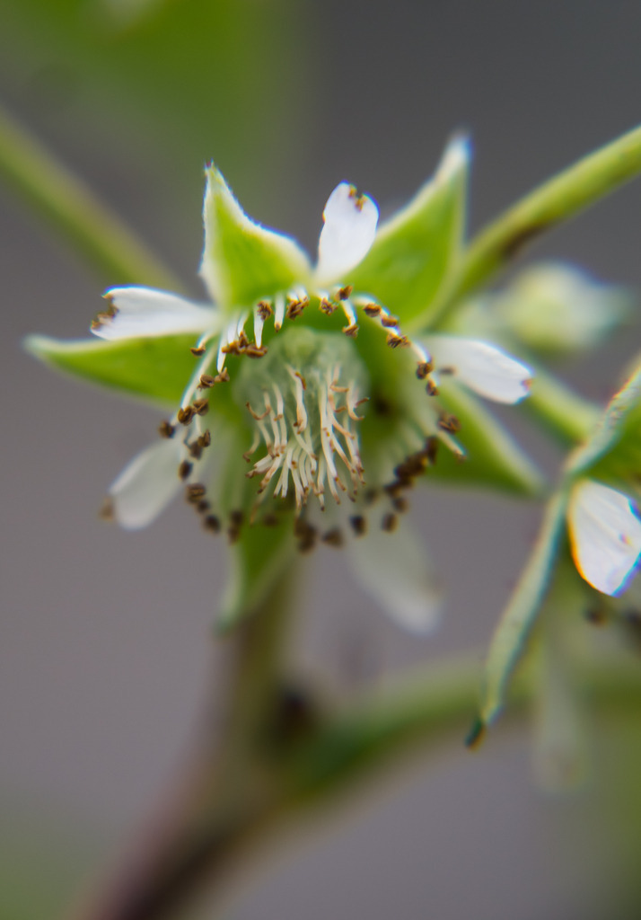 PSX_20230123_215230 | mtkfoto_ - Realisiert mit Pictrs.com