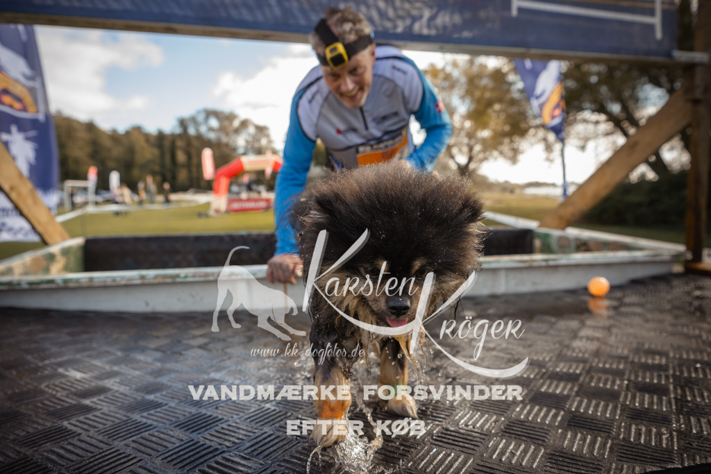 1315_ZZ99771-2 | kk-dogfotos