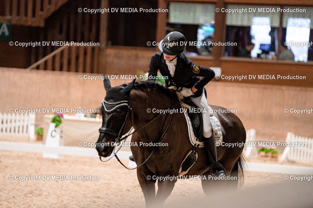 Dressur Tag 3-646 | dv-media-shop - Realisiert mit Pictrs.com