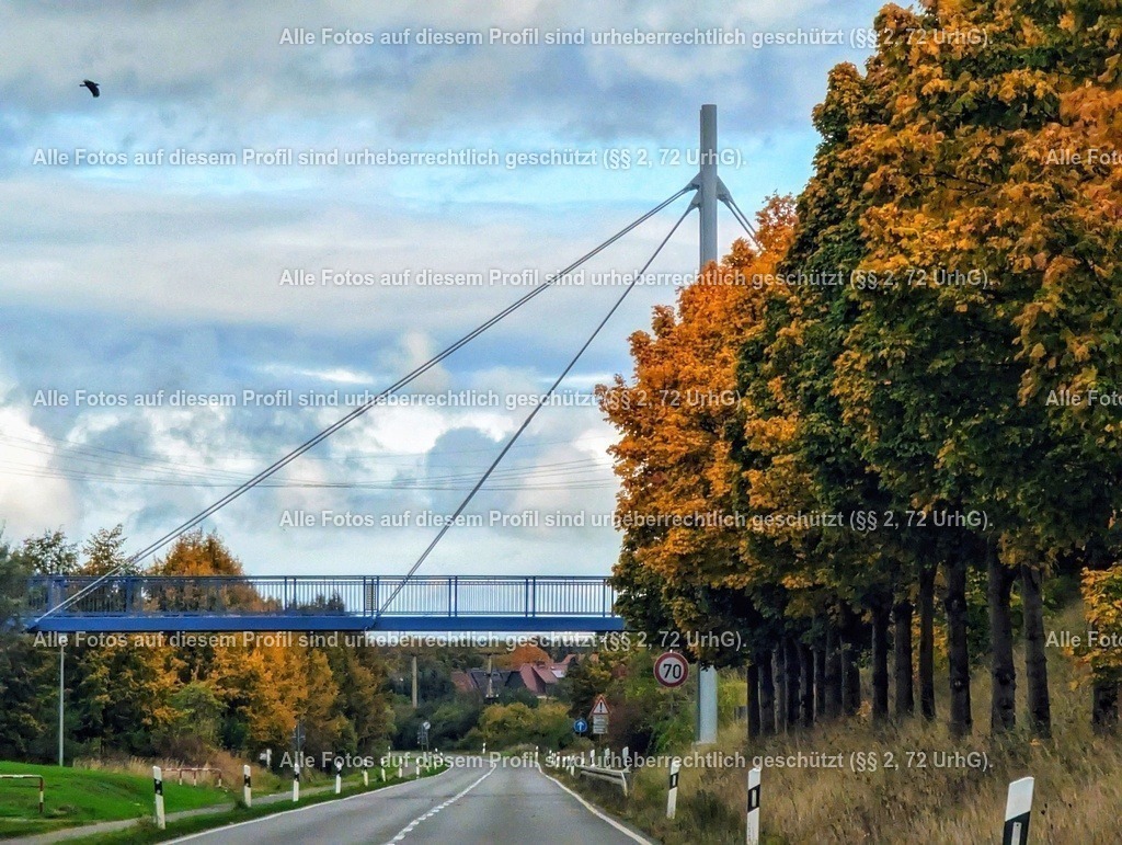 PXL_20231028_120725146_2-01 | krollfotografie - Realisiert mit Pictrs.com