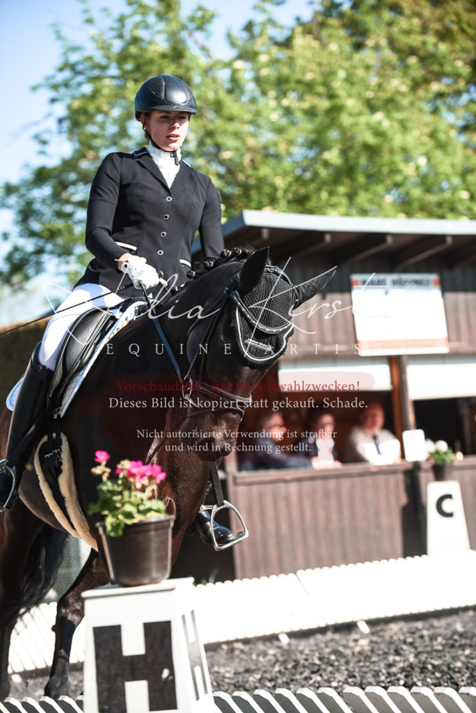 DSC_8394 | Pferde- und Turnierfotografie in Westsachsen. Pferdeportraits, Auftragszeichnungen und intuitive Kunst.