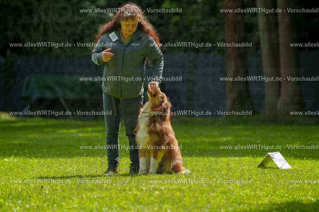 @allesWIRTHgut_Tierfotografie - www.allesWIRTHgut.de - 7R500849 | Professionelle Tierfotografie in Mönchengladbach von Daniel Wirth (allesWIRTHgut). Liebevolle & natürliche Bilder von Hunden & Katzen für unvergessliche Erinnerungen.