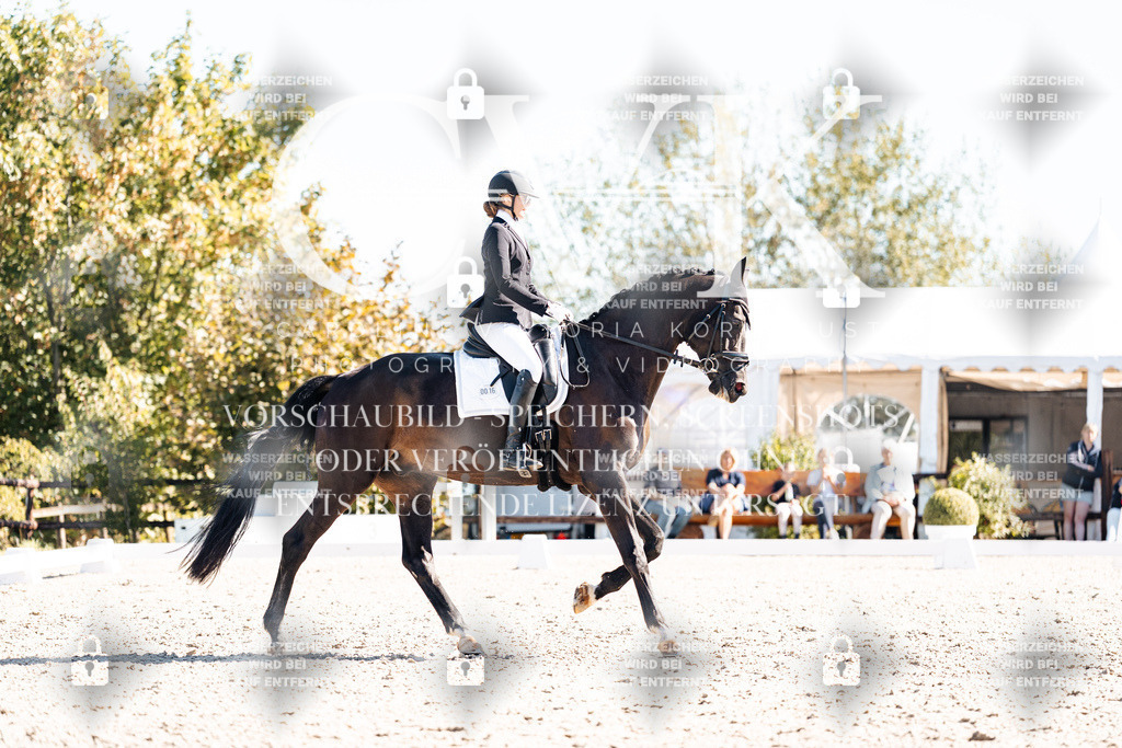 CK909002 | Turnierfotografie Pferdefotografie Trier Rheinland-Pfalz Pferdesport Reitsport Tierfotografie Sportfotografie Pferdevideo Pferdevideografie Equestrianvideography equestrianphotography  - Realisiert mit Pictrs.com