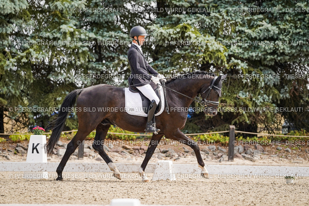 DSC00112 | Pferdegrafie