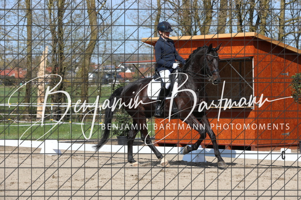 AZ2A6047 | Benjamin Bartmann Photomoments