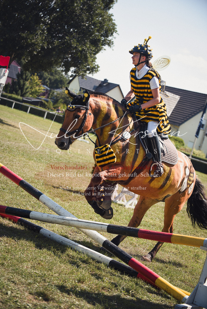 DSC_0282 | Pferde- und Turnierfotografie in Westsachsen. Pferdeportraits, Auftragszeichnungen und intuitive Kunst.