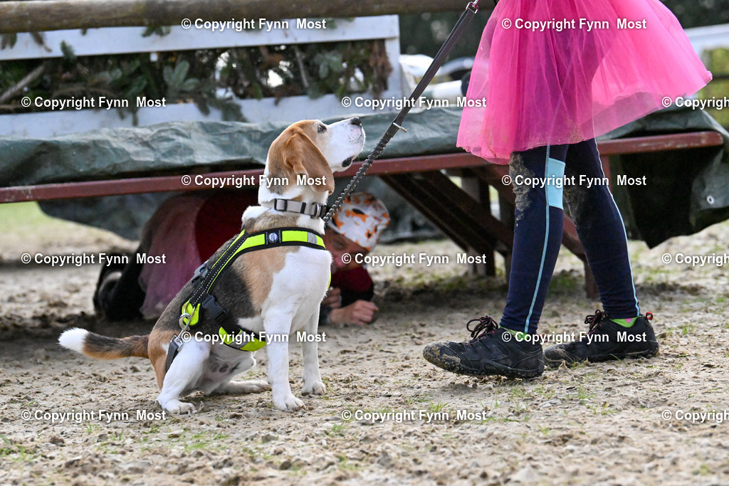 DSC_6164 | Hallo und herzlich Willkommen auf meiner Shop-Seite Fynn Most.

Ich wünsche Dir viel Spaß beim stöbern durch die Bilder, wenn Du Fragen hast oder Bilder vermisst, kannst du mir gerne eine Nachricht schreiben. - Realisiert mit Pictrs.com