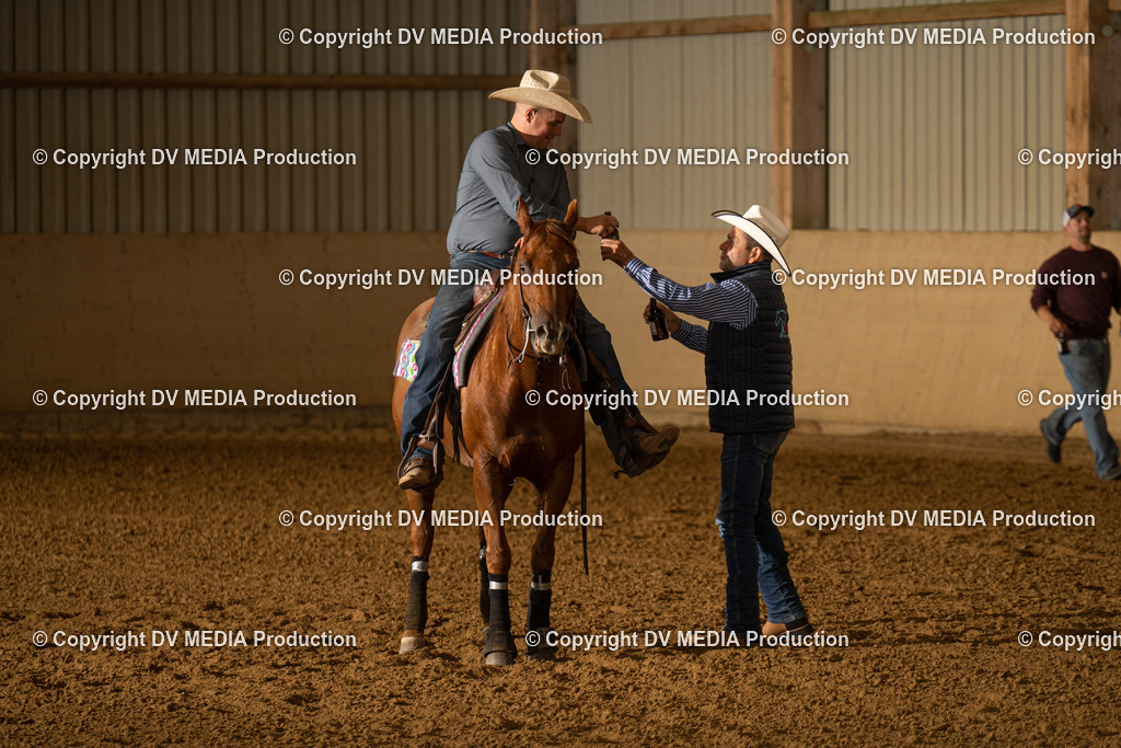 LAU00115 | dv-media-shop - Realisiert mit Pictrs.com