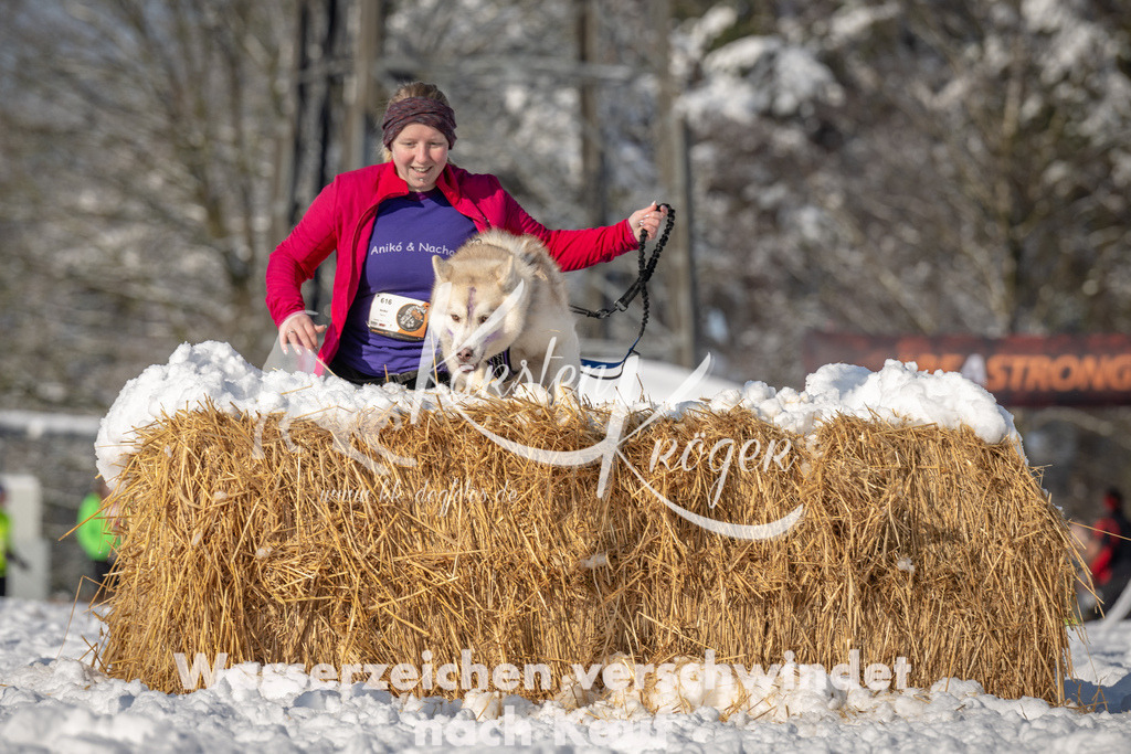 0953_ZZ94019 | kk-dogfotos