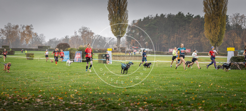 CaniXpix_DV3A8853 | Hundefotografie, Tierfotograf, Pfotenfotografie, Fotoshooting Hund, Hunde Portrait, Hundesport, Hundeportraits, Heideshooting, Hunde, Sportfotograf, Hundefotograf, Turnierhundsport, THS,  - Realisiert mit Pictrs.com