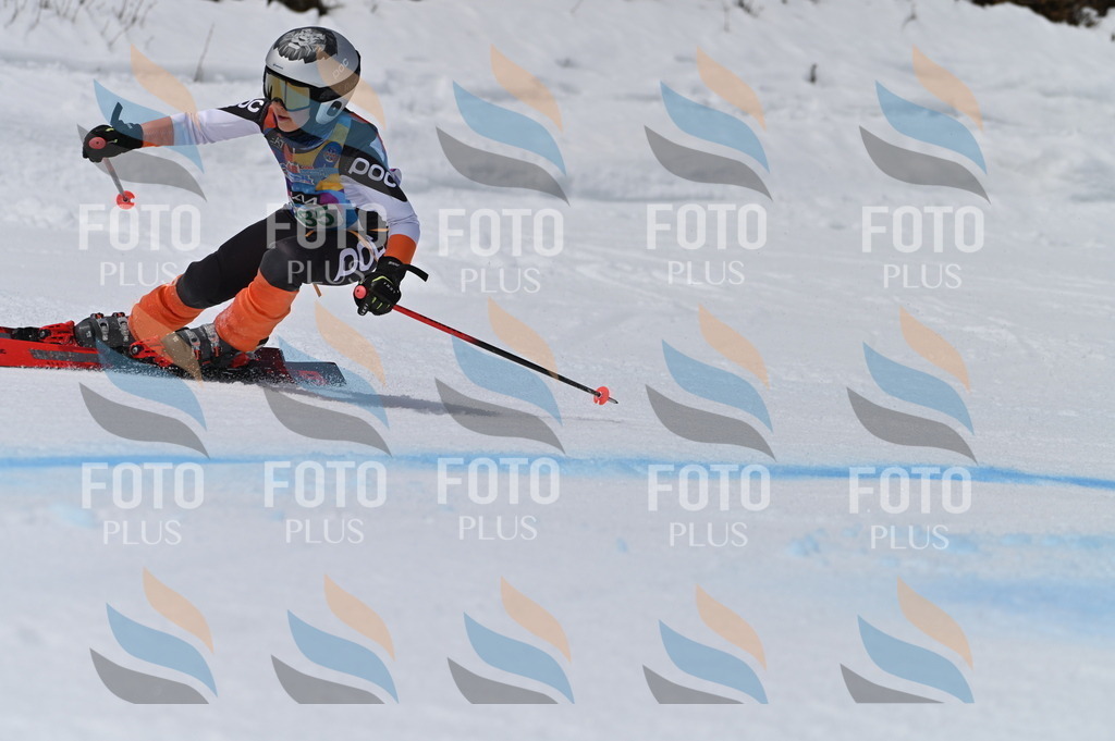 BGV_5692 | holidayphoto