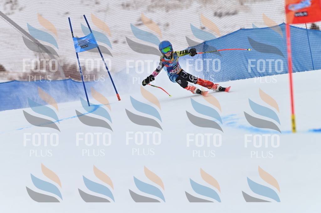 BGV_0933 | holidayphoto