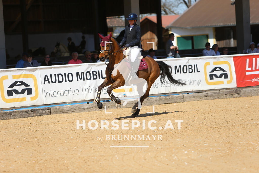 DL2Q5380 | Willkommen bei Brunnmayr - Design & Fotografie – Ihrem Spezialisten für Reitturniere und Pferdeveranstaltungen in Oberösterreich, Salzburg und Bayern! Seit über 17 Jahren sind wir leidenschaftlich dabei.