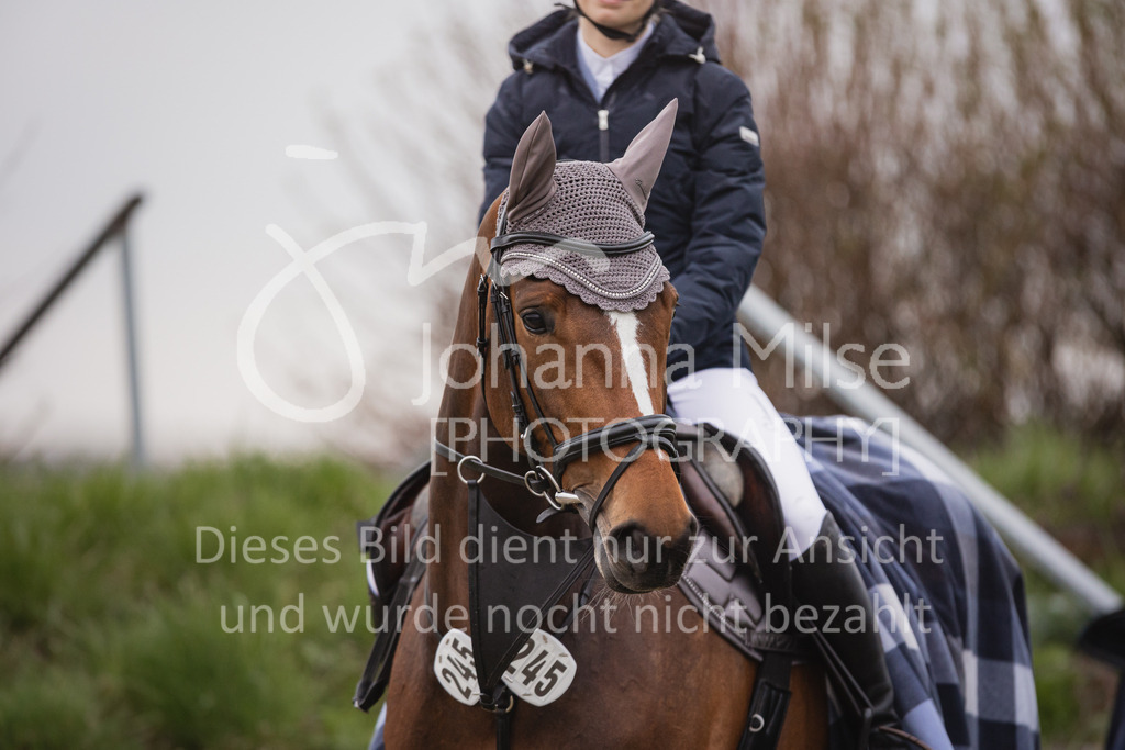 230408_Frühlingsfest_Stil-A1-445 | Deine schönsten Turniermomente als professionelle Fotos! Entdecke hochwertige Pferdesport-Fotografie im Online-Shop. Jetzt Fotos finden & bestellen!