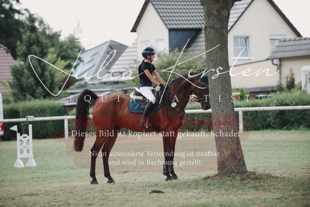 DSC_5728 | Pferde- und Turnierfotografie in Westsachsen. Pferdeportraits, Auftragszeichnungen und intuitive Kunst.