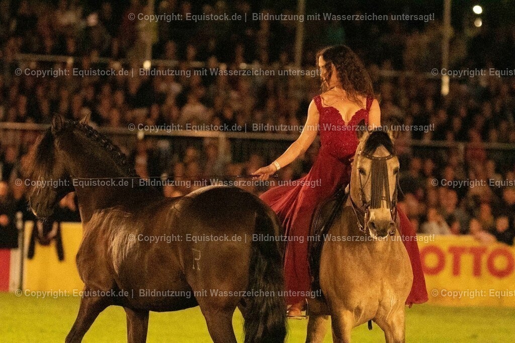20230526_Pferdenacht_1417 | equistock