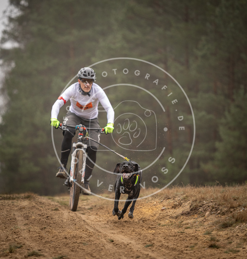 Pfotenfotografie_DV3A2614 | Hundefotografie, Tierfotograf, Pfotenfotografie, Fotoshooting Hund, Hunde Portrait, Hundesport, Hundeportraits, Heideshooting, Hunde, Sportfotograf, Hundefotograf, Turnierhundsport, THS,  - Realisiert mit Pictrs.com