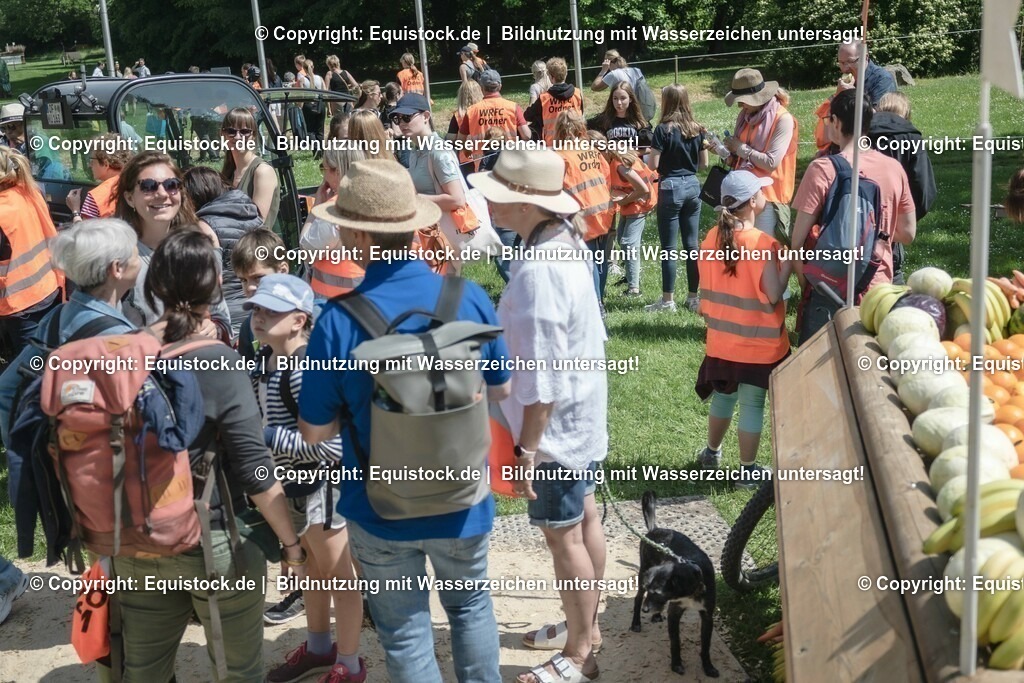 ZFC_3984 | equistock