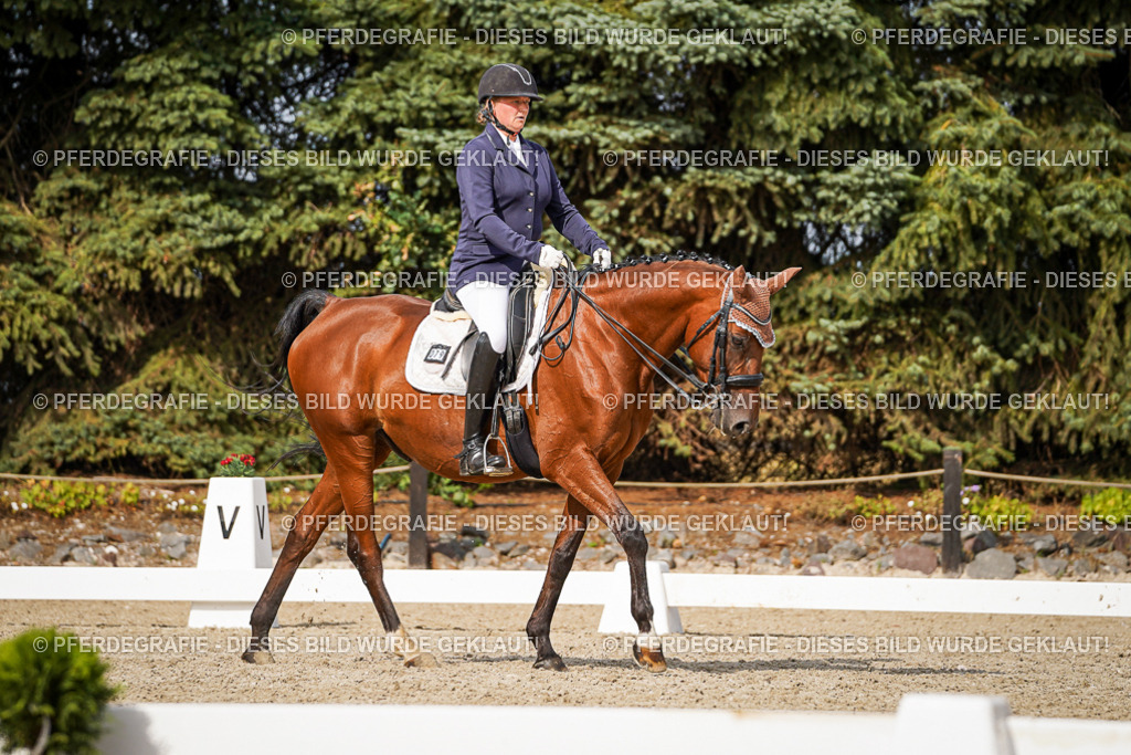 DSC07234 | Pferdegrafie