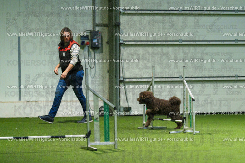 7R508370 | Professionelle Tierfotografie in Mönchengladbach von Daniel Wirth (allesWIRTHgut). Liebevolle & natürliche Bilder von Hunden & Katzen für unvergessliche Erinnerungen.