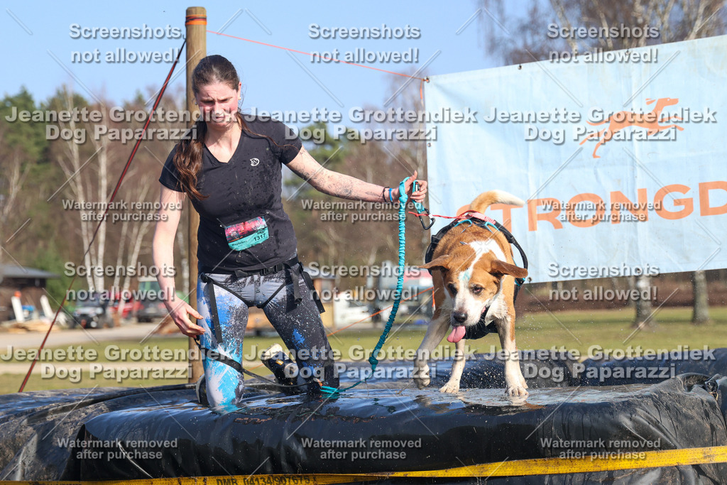 Dog Paparazzi - Strongdog North Mrz26-3263 | Dog Paparazzi Jeanette Grottendiek Fotografie & Videografie - Realisiert mit Pictrs.com