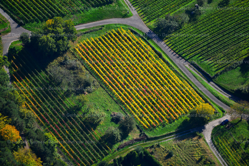 3491098 | Weinberge am Busigberg Großheubach