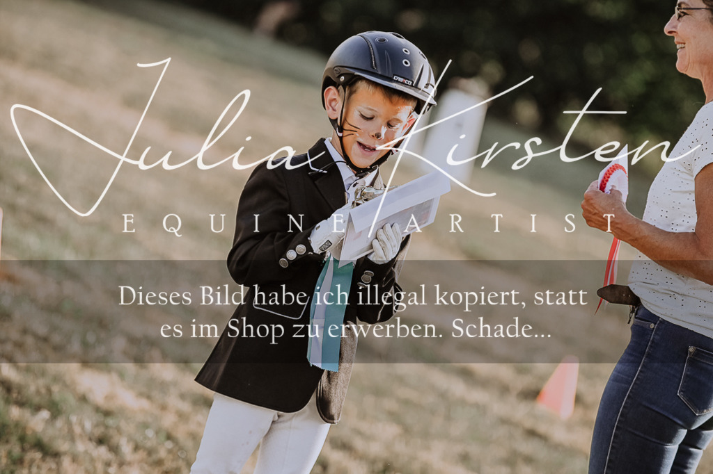 DSC_0247 | Pferde- und Turnierfotografie in Westsachsen. Pferdeportraits, Auftragszeichnungen und intuitive Kunst.