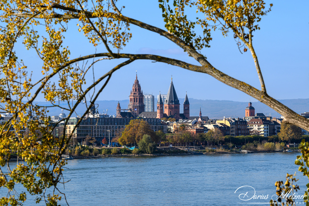 Der Mainzer Dom | Der Mainzer Dom