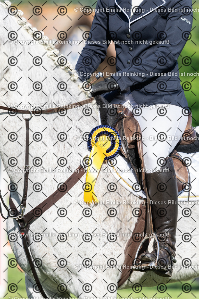 CL5A9307 | Emilia Reinking Fotografie - Realisiert mit Pictrs.com