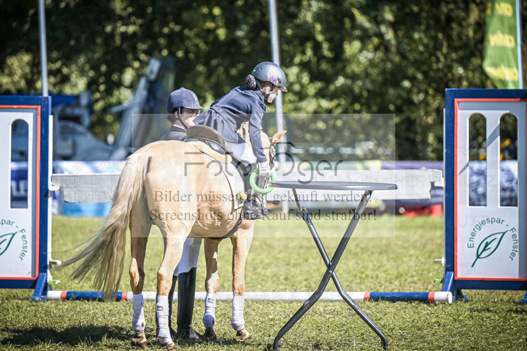 DOS_0246 | Entdecke hochwertige Reitturnierfotos von Foto Oger. Professionell, emotional und authentisch – jetzt Lieblingsmomente im Shop bestellen.Deutschlandweite Turnierfotografie. - Realisiert mit Pictrs.com
