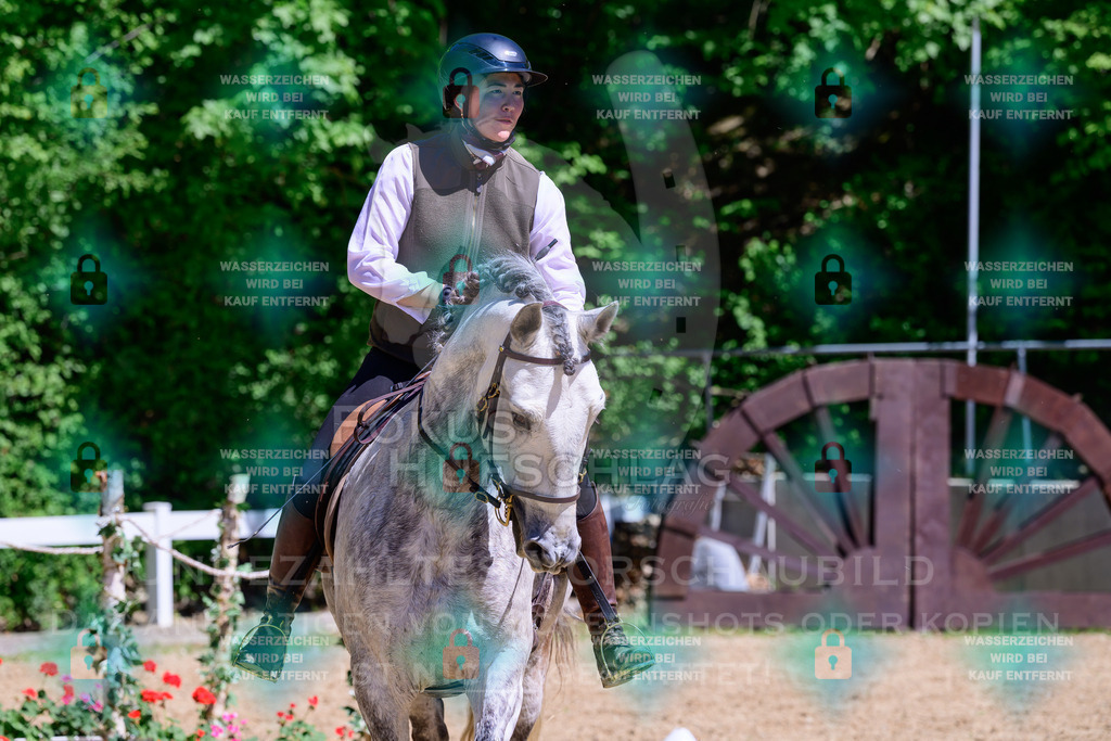 01052026-Giesenbach-02-Stiltrail-0077 | Fokus Hufschlag Fotografie - Realisiert mit Pictrs.com