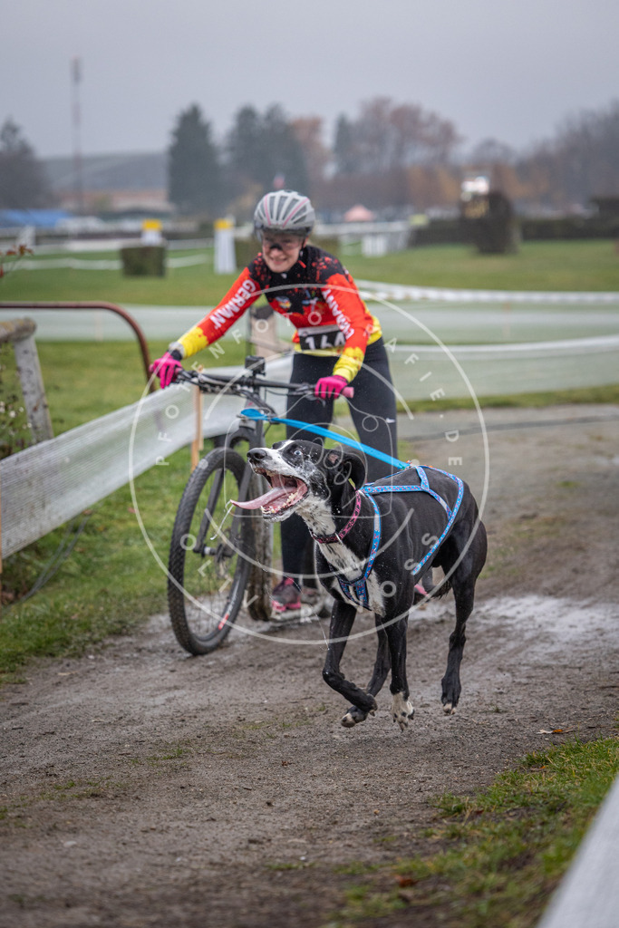 CaniXpix_0L8A0676 | Hundefotografie, Tierfotograf, Pfotenfotografie, Fotoshooting Hund, Hunde Portrait, Hundesport, Hundeportraits, Heideshooting, Hunde, Sportfotograf, Hundefotograf, Turnierhundsport, THS,  - Realisiert mit Pictrs.com