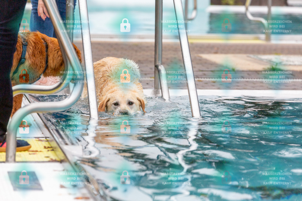 _HP_7206_1000o | HetPix, HetPix Fotodesign, Fotografie, Fotodesign, Webshop, Sportfotografie, Portraitfotografie, Onlineshop, Sportfotografie, Polch, Motorsportfotografie, Eventfotografie