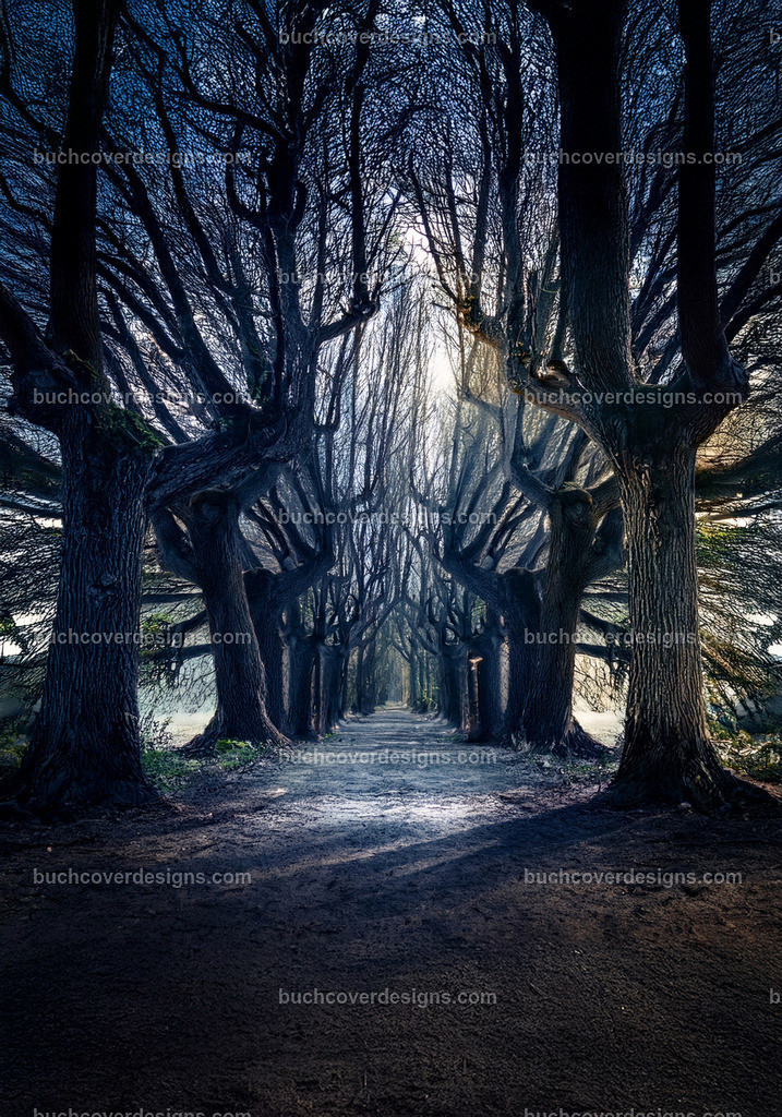 Baumen weg Corridor  (3) | Entdecken Sie kreative Buch Cover Designs für Self-Publishing-Autoren und Verlage! Unsere maßgeschneiderten Designs ziehen Leser an und bringen Ihre Geschichten visuell zum Leben. Lassen Sie uns Ihr perfektes Cover gestalten!