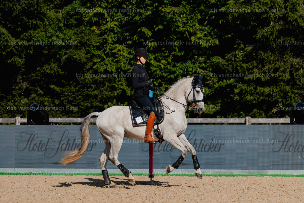 Svea13FHC2025-09244 | working equitationturnier fotograf videograf stoibphotography marixx film working equitation deutschland reitsport turnierfotografie eventfotografie equestrian events