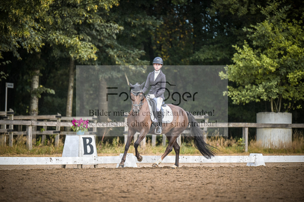 DOS_2311 | Entdecke hochwertige Reitturnierfotos von Foto Oger. Professionell, emotional und authentisch – jetzt Lieblingsmomente im Shop bestellen.Deutschlandweite Turnierfotografie. - Realisiert mit Pictrs.com