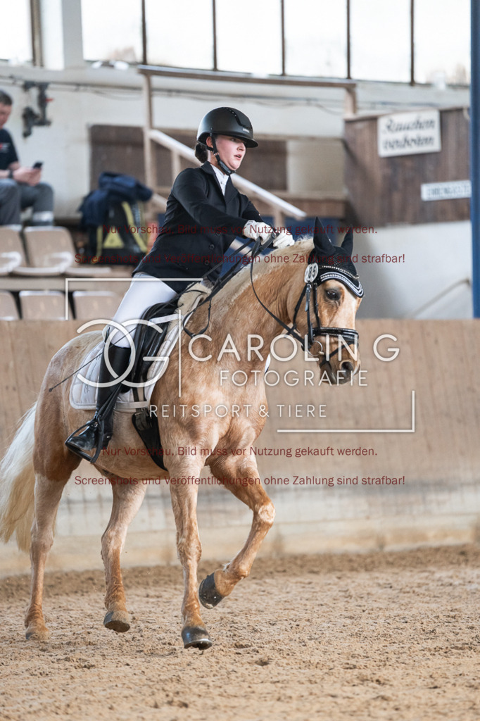 DSC02709 | Reitturnier_Göppingen_April_2026, Sarah_andrea_löffler, Golden_dream_67