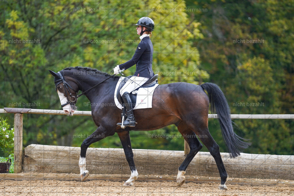 20221008-FAH01067 | Diessen am Ammersee, 2022, Dressur- und Springturnier, Reitsportbilder, Turnierfotografen Bayern, Pferdefotografen, Fotoagentur Herrmann, Turnierbilder