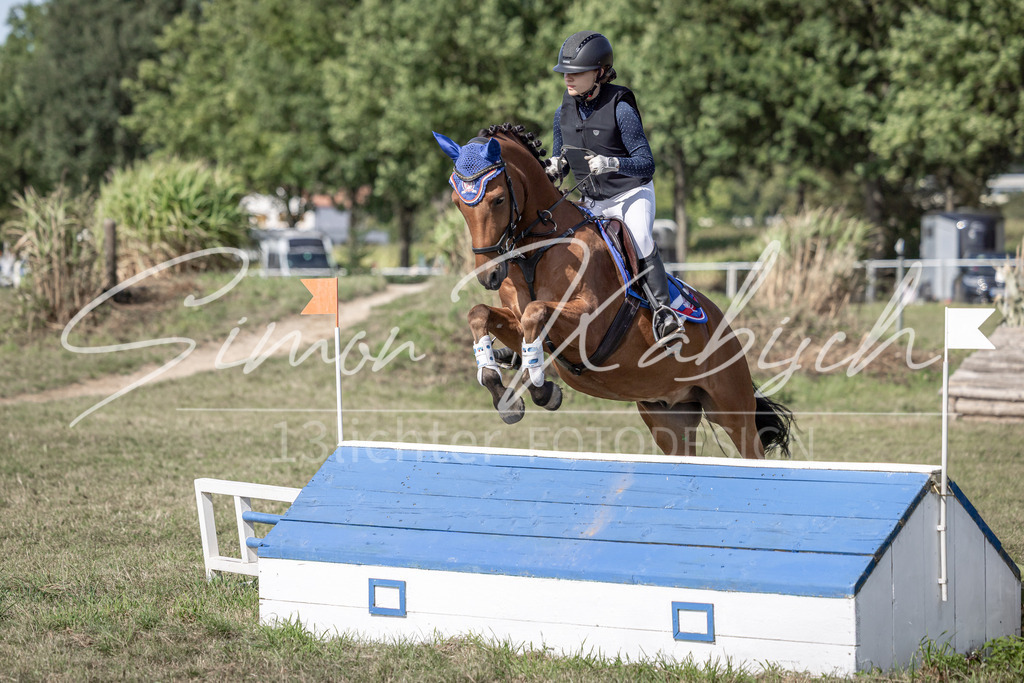 20250907-_3LI9916 | Tierfotografie Pferde, Hunde, Katzen, Haustiere.
Turnierfotografie Reitturniere, Reiten, Springreiten, Dressur in Hanau, dem Main-Kinzig-Kreis und dem Rhein-Main- Gebiet um Frankfurt