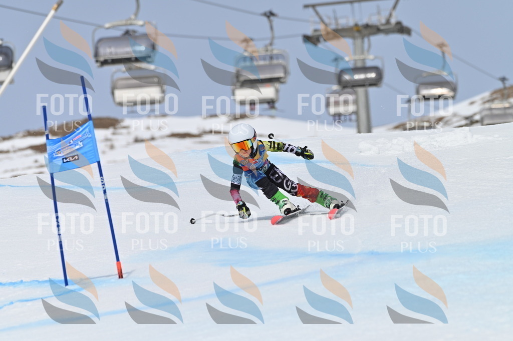 BGV_4787 | holidayphoto