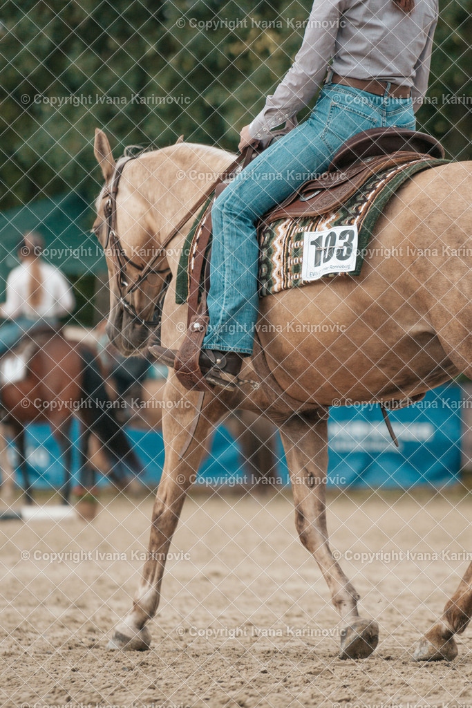 DSC01092 | ikphotography - Realisiert mit Pictrs.com