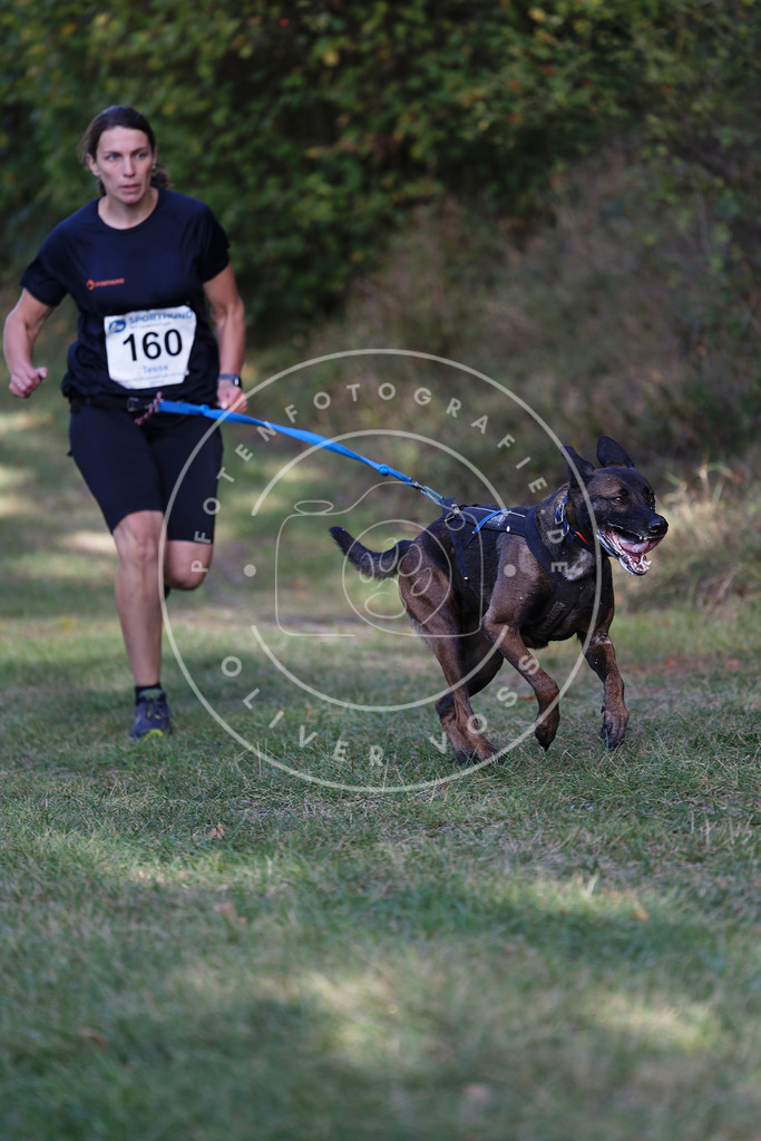 0L8A5283 | Hundefotografie, Tierfotograf, Pfotenfotografie, Fotoshooting Hund, Hunde Portrait, Hundesport, Hundeportraits, Heideshooting, Hunde, Sportfotograf, Hundefotograf, Turnierhundsport, THS,  - Realisiert mit Pictrs.com