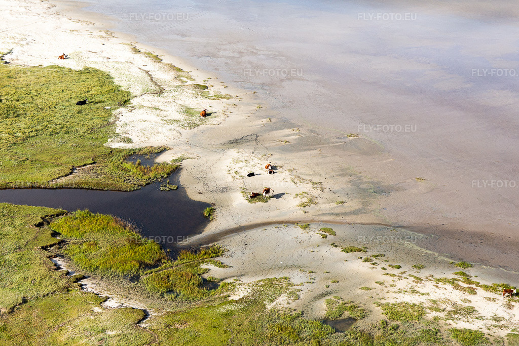 Vue aérienne: Paysage de plage de sable le long du littoral de la mer du Nord à Fanø à Fanø dans le département Syddanmark, Danemark. Photo: IMG_118586.jpg prise le 21/09/2019 par Werner Riehm/FLY-FOTO.eu – Résolution de l'original: 5472 x 3648 px