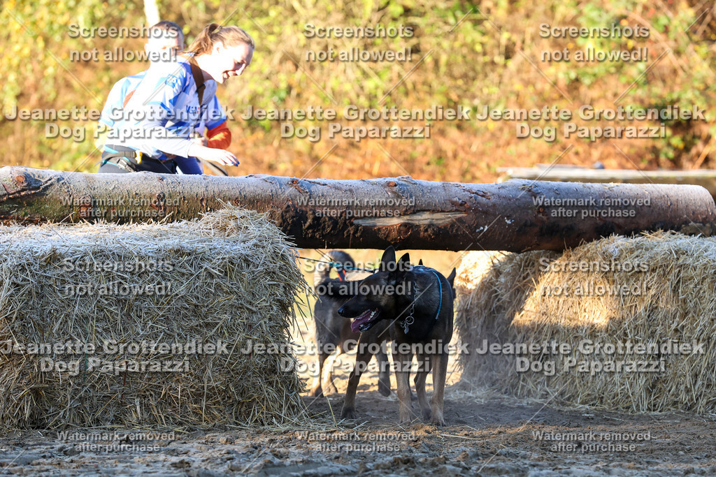 Dog Paparazzi - Strongdog 10-25-662 | Dog Paparazzi Jeanette Grottendiek Fotografie & Videografie - Realisiert mit Pictrs.com