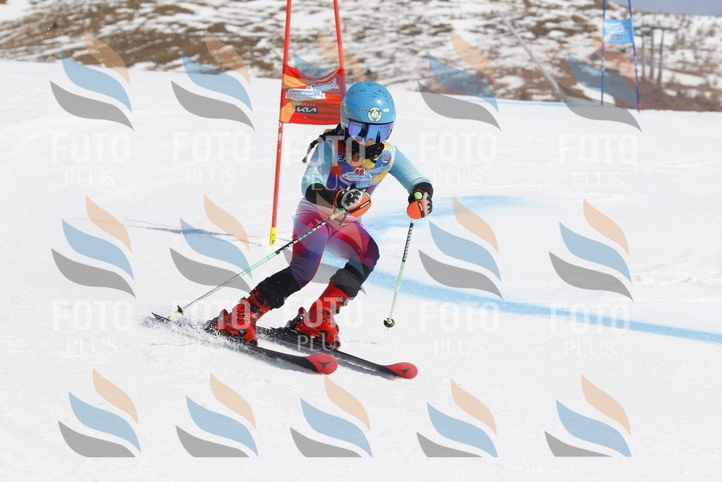 _U3G1056 | holidayphoto