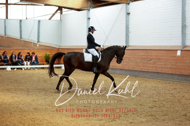 _62_5025 | Turniersportfotografie; Pferdefotografie; Dressurfotografie