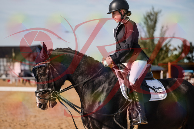 2026_10_03_Siefer-Hof_121716_Z63_41356391 | Professionelle Reitsport-, Turnier- und Eventfotografie von Robert Broda. Galerien mit ausgewählten und bearbeiteten Bildern direkt online ansehen und bestellen.
