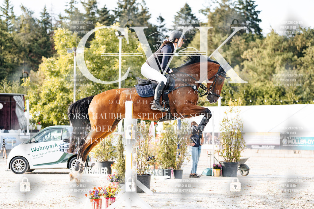 CK903361 | Turnierfotografie Pferdefotografie Trier Rheinland-Pfalz Pferdesport Reitsport Tierfotografie Sportfotografie Pferdevideo Pferdevideografie Equestrianvideography equestrianphotography  - Realisiert mit Pictrs.com