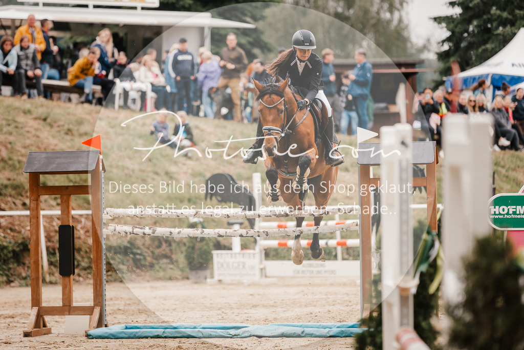 3I6A2219 | Stimmungsvolle Portraits und Reitsportfotografie im Ruhrgebiet und im Münsterland.

Pferdefotografie, Hundefotografie, Tierfotografie, Reportagen, Portraits von Tier und Mensch, Turnierfotografie in Bochum, Recklinghausen, Marl, Haltern am See, Dülmen.. - Realisiert mit Pictrs.com