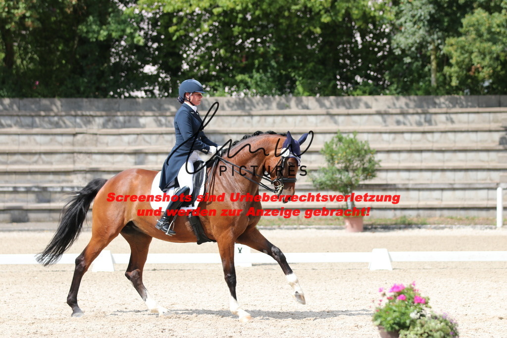 IMG_9534 | lmwpictures - Realisiert mit Pictrs.com